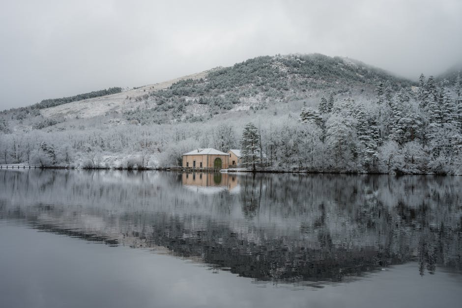 Captivating winter scene with snow-covered trees and mountain reflected in a tranquil lake at Real Sitio de San Ildefonso, Spain.