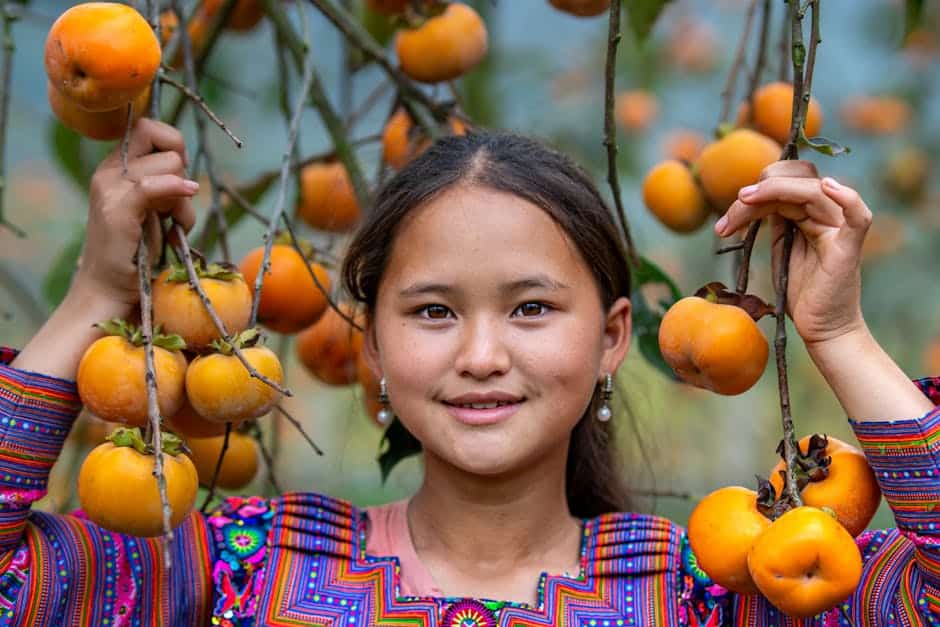 Portrait of a young girl in traditional attire holding persimmons in Vietnam. Vibrant and lively.