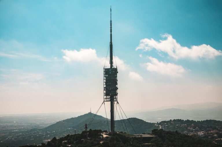 Qué Herramienta de IA Elegir para tu Negocio en 2024