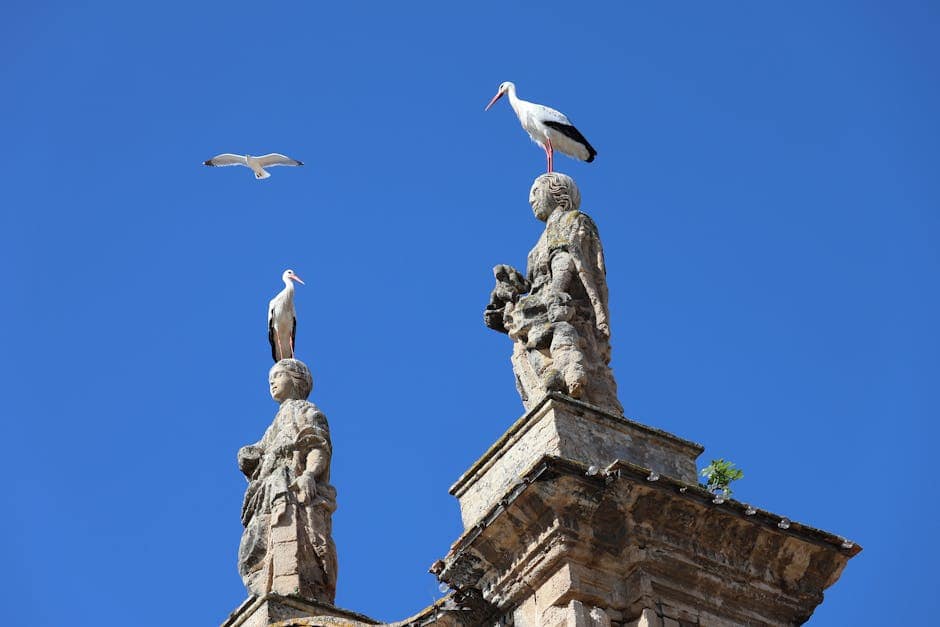 Storks perched atop statues on a historic church in El Puerto de Santa María, Spain, with a clear blue sky.